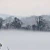 TN River Winter Fog